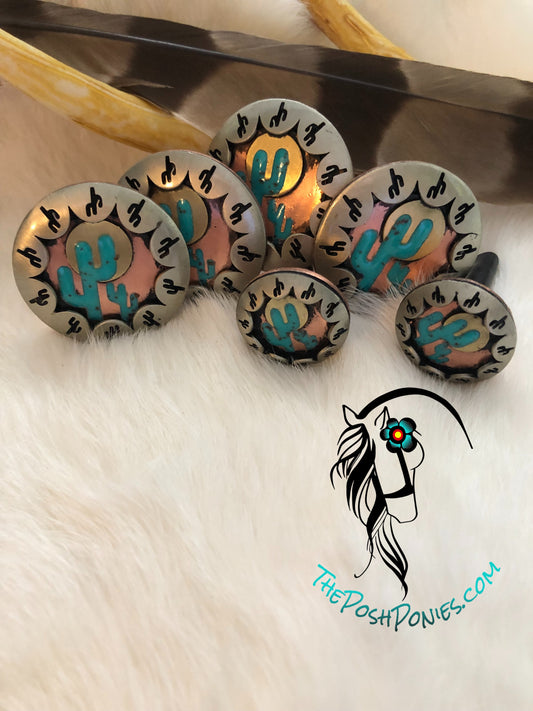 Handmade Cactus Sunset 3D Saddle Concho Set