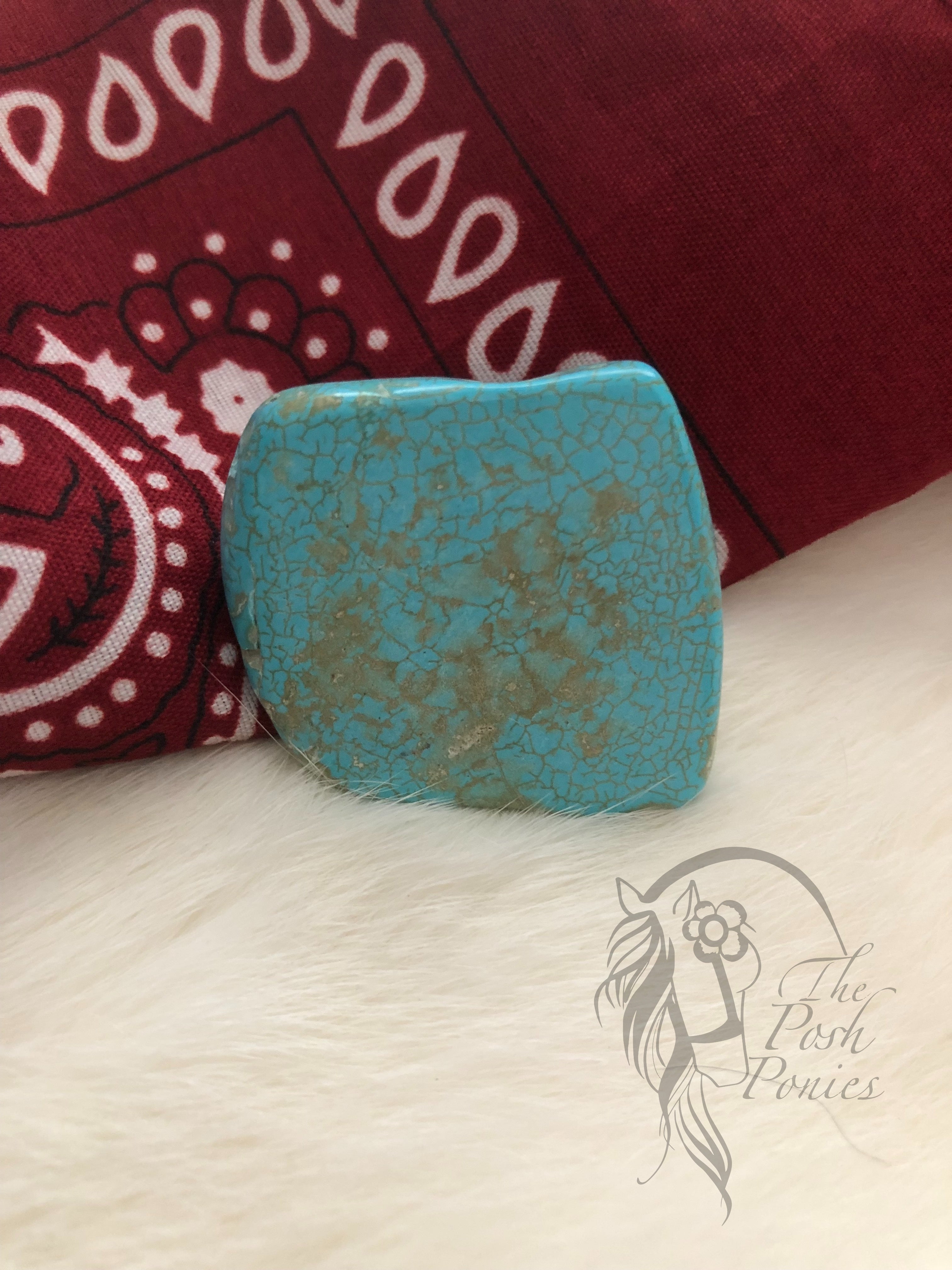 Ring Out Rag Turquoise Slab Wild Rag Ring – ThePoshPonies